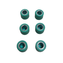 Ağırlık Set 6 lı Leone - 6,5GR 16x13 - 50cc Kuba Blueberry - Mondial Turismo